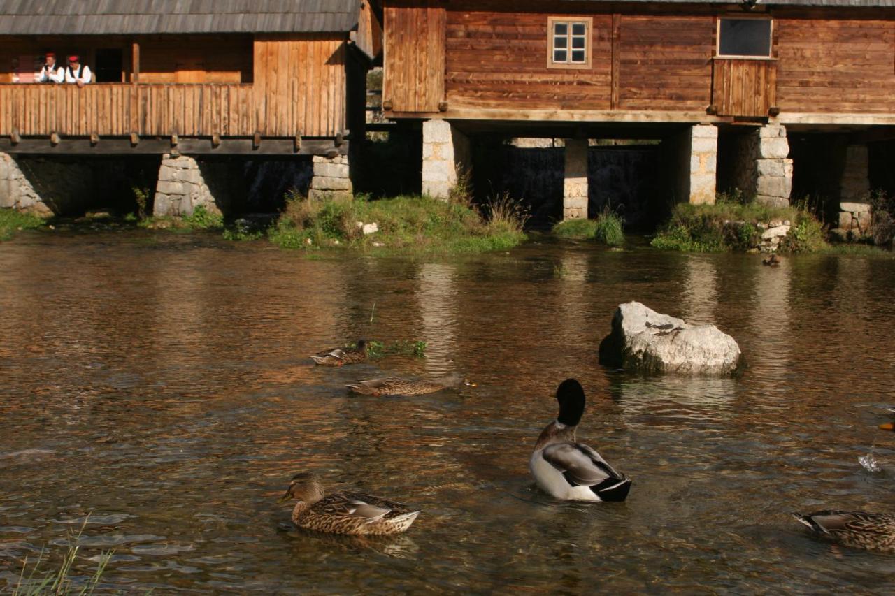 Guesthouse Samolov Vrhovine Экстерьер фото